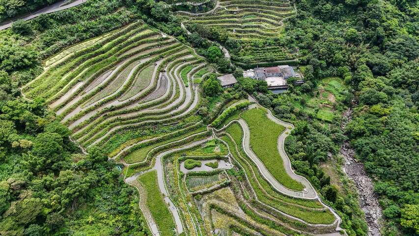 石門嵩山社區百年石砌梯田