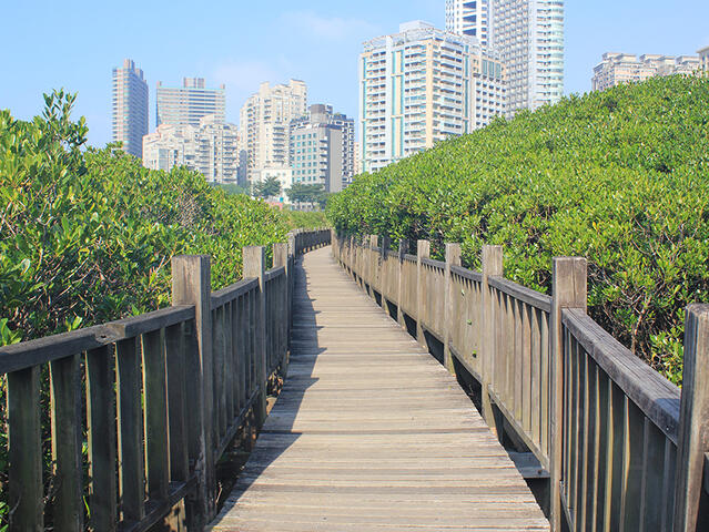 紅樹林自然保留區